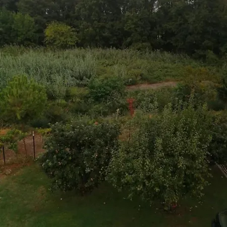 Σπίτι κοντά στο μύλο ξωτικών Apartmán Tríkala